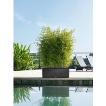 Lechuza TRIO Cottage 40 kiemelhető belsővel és önöntöző készlettel:  Mokka