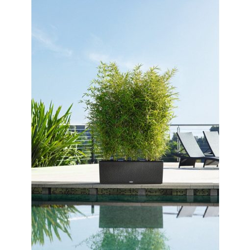 Lechuza TRIO Cottage 40 kiemelhető belsővel és önöntöző készlettel:  Mokka