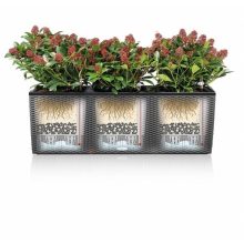 Lechuza TRIO Stone 30 önöntöző készlettel  Stone Gray