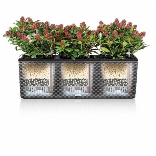 Lechuza TRIO Stone 30 önöntöző készlettel  Stone Gray