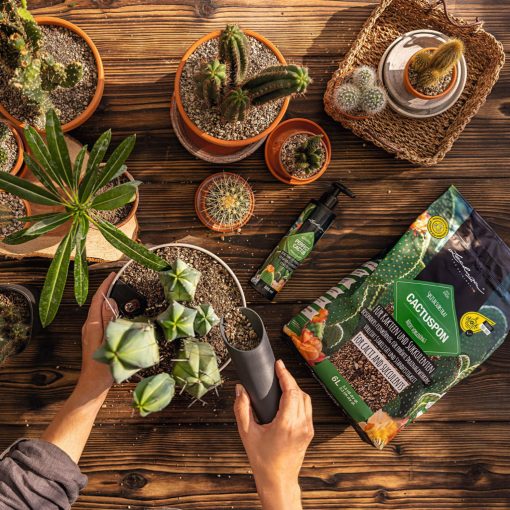 Liquid tápoldat PERFECT CACTUS Fluid 225 ml