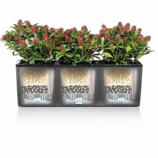 Lechuza TRIO Cottage 30 kiemelhető belsővel és önöntöző készlettel: Mokka