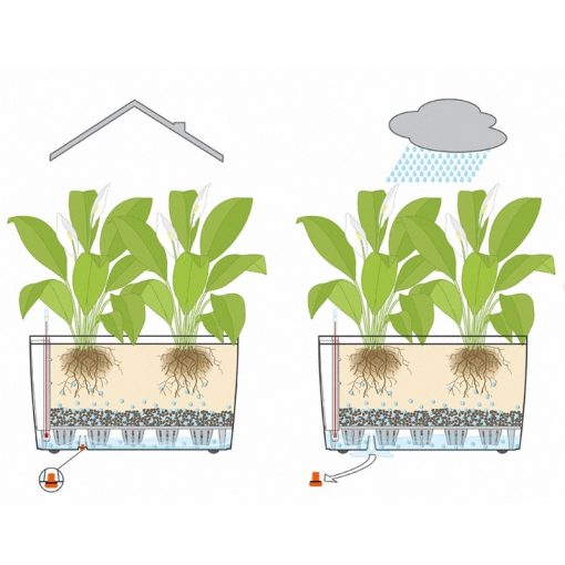 Lechuza Cararo Sett: Antracit