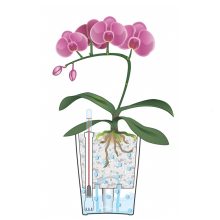 Lechuza Deltini önöntözővel: Taupe