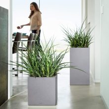 Lechuza CANTO Stone Tower All-in-One Set: 40x40x76 cm Quarz Fehér 