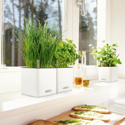 Lechuza Cube Color 14 All-in-One Set: Palaszürke