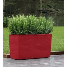 Lechuza Cararo Sett: Skarlát