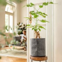 Lechuza TRENDCOVER Felt light grey: 23x26.5 cm