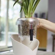 Lechuza Orchidea Pon 6 Liter