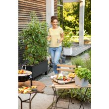 Lechuza TRIO Stone 30 önöntöző készlettel  Graphite