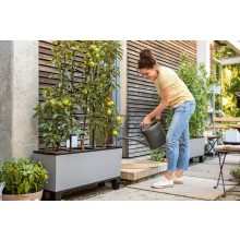 Lechuza TRIO Stone 30 önöntöző készlettel  Graphite