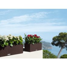 Lechuza BALCONERA Cottage 50 önöntöző készlettel:  Mokka