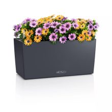 Lechuza Balconera Color 40 Palaszürke 