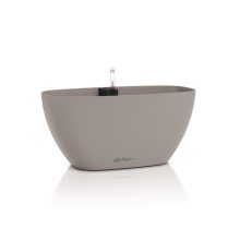 Lechuza Navio Color 20 