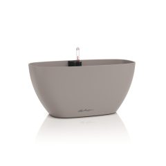 Lechuza Navio Color 20 