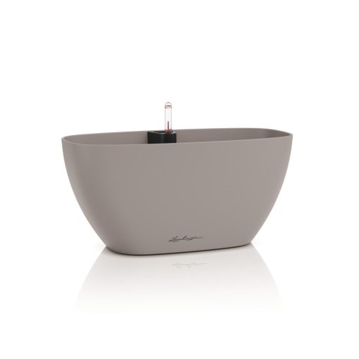 Lechuza Navio Color 20 