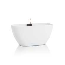 Lechuza Navio Color 20 