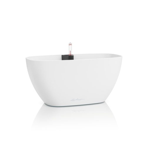 Lechuza Navio Color 20 