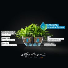 Lechuza Navio Color 20 