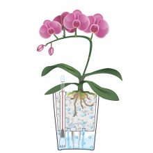 Lechuza Mini Deltini: Skarlát