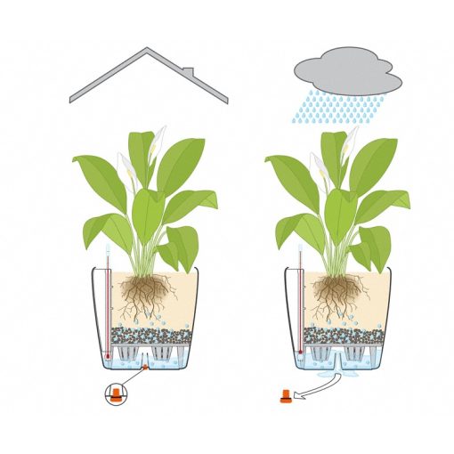  Lechuza Classico Color 18 Matt Önöntöző készlettel Fehér