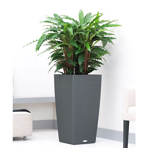 Lechuza CUBICO Cottage 30 kiemelhető belsővel és önöntöző készlettel: Gránit