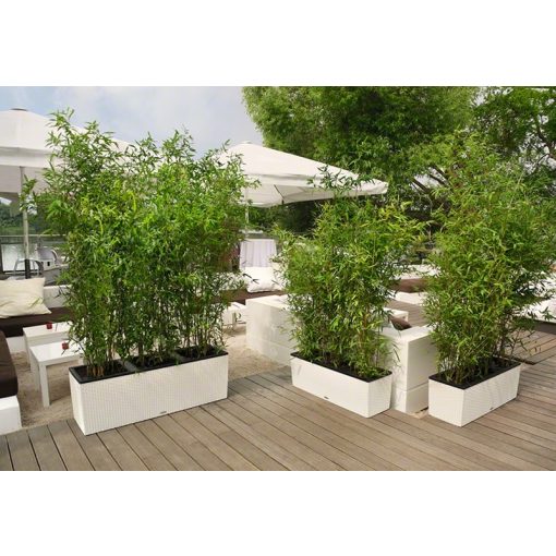 Lechuza TRIO Cottage 40 kiemelhető belsővel és önöntöző készlettel: Sand Brown