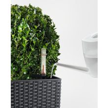 Lechuza CUBICO Cottage 40 kiemelhető belsővel és önöntöző készlettel: Graphite 