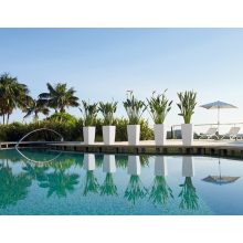 Lechuza Cubico Color kiemelhető belsővel és önöntözővel-All-in-One Set: 40x40x75 cm Fehér