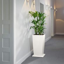 Lechuza görgős keret Cubico 30 fehér