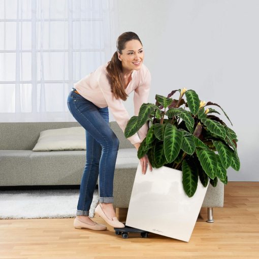 Lechuza Cube 50 Premium: Antracit