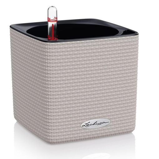 Lechuza Cube Color 14 All-in-One Set: Homok