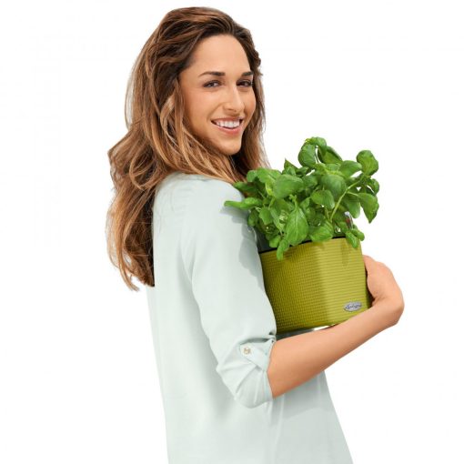 Lechuza Cube Color 14 All-in-One Set: Homok