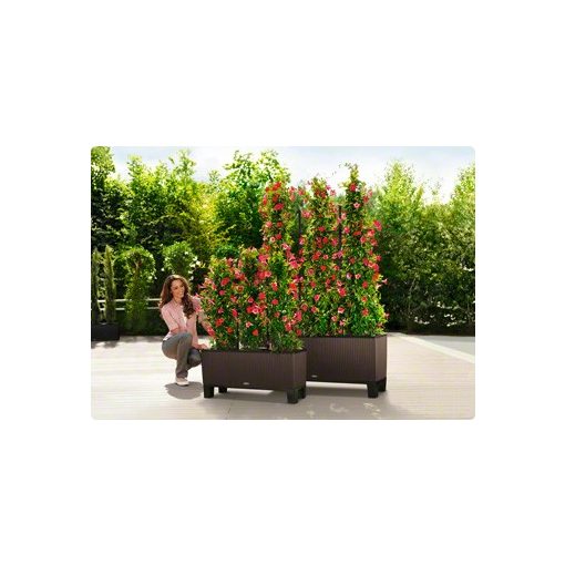 Lechuza TRIO Cottage 30 kiemelhető belsővel és önöntöző készlettel: Sand Brown