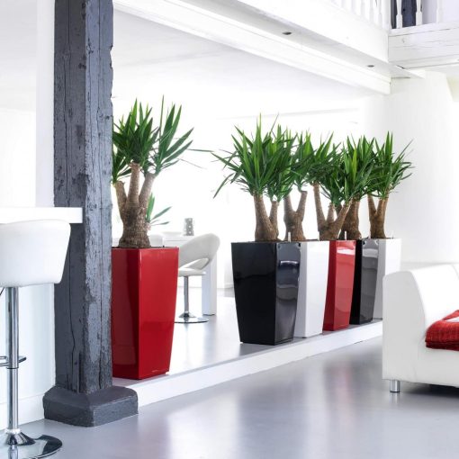 Lechuza Cubico 22 Premium-All-in-One Set: Skarlát