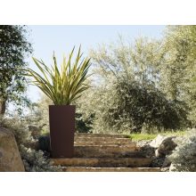 Lechuza Cubico Color kiemelhető belsővel és önöntözővel-All-in-One Set: 30x30x56 cm Palaszürke