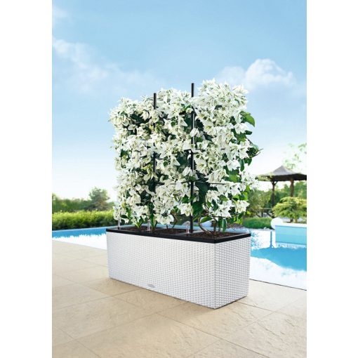 Lechuza TRIO Cottage 30 kiemelhető belsővel és önöntöző készlettel:  Fehér