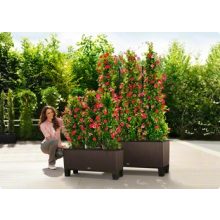 Lechuza TRIO Cottage 30 kiemelhető belsővel és önöntöző készlettel:  Fehér