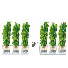 Lechuza TRIO Cottage 30 kiemelhető belsővel és önöntöző készlettel:  Fehér