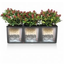 Lechuza TRIO Cottage 30 kiemelhető belsővel és önöntöző készlettel:  Fehér