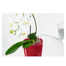  Lechuza Deltini önöntözővel: Skarlát 