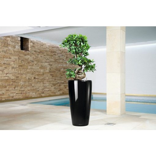 Lechuza Rondo 40-All-in-One Set: Fekete