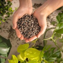 LECHUZA PON 30 liter