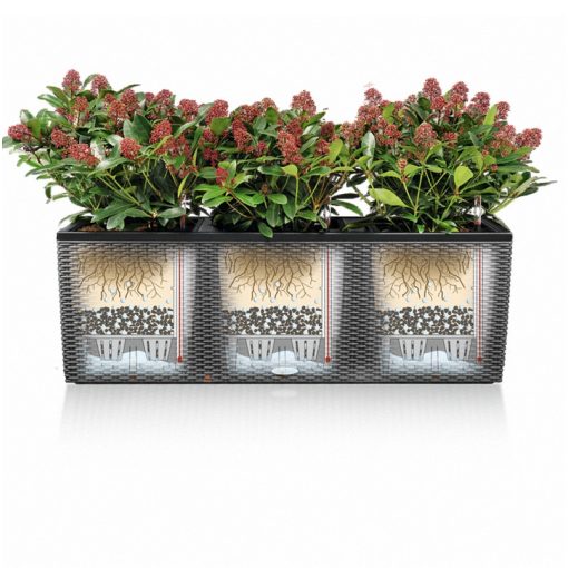 Lechuza TRIO Cottage 40 kiemelhető belsővel és önöntöző készlettel: Graphite 