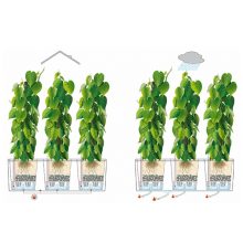 Lechuza TRIO Cottage 40 kiemelhető belsővel és önöntöző készlettel: Graphite 