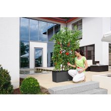 Lechuza TRIO Cottage 40 kiemelhető belsővel és önöntöző készlettel: Graphite 