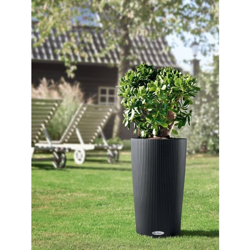 Lechuza CILINDRO Color All-in-One Set: Ø32x56 cm Palaszürke