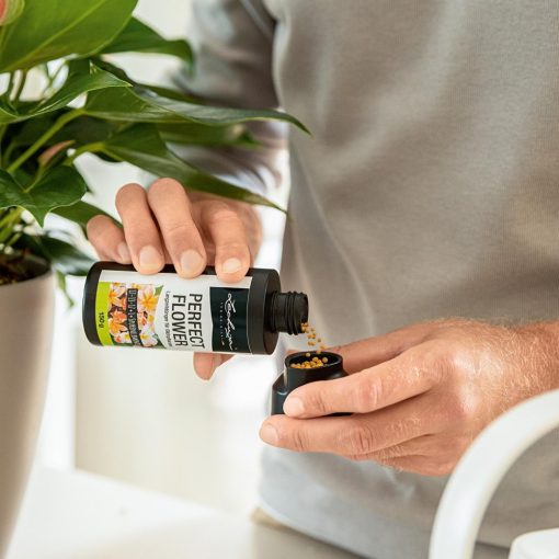 Lechuza PERFECT FLOWER 150 g