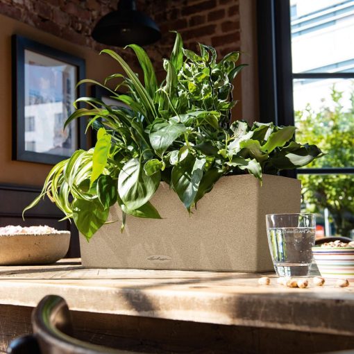 Lechuza Balconera Stone 50 cm Homok