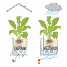 Lechuza CUBE Cottage 30 önöntöző készlettel:  Mokka